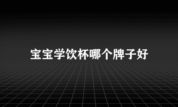 宝宝学饮杯哪个牌子好