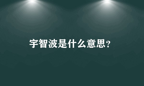 宇智波是什么意思？