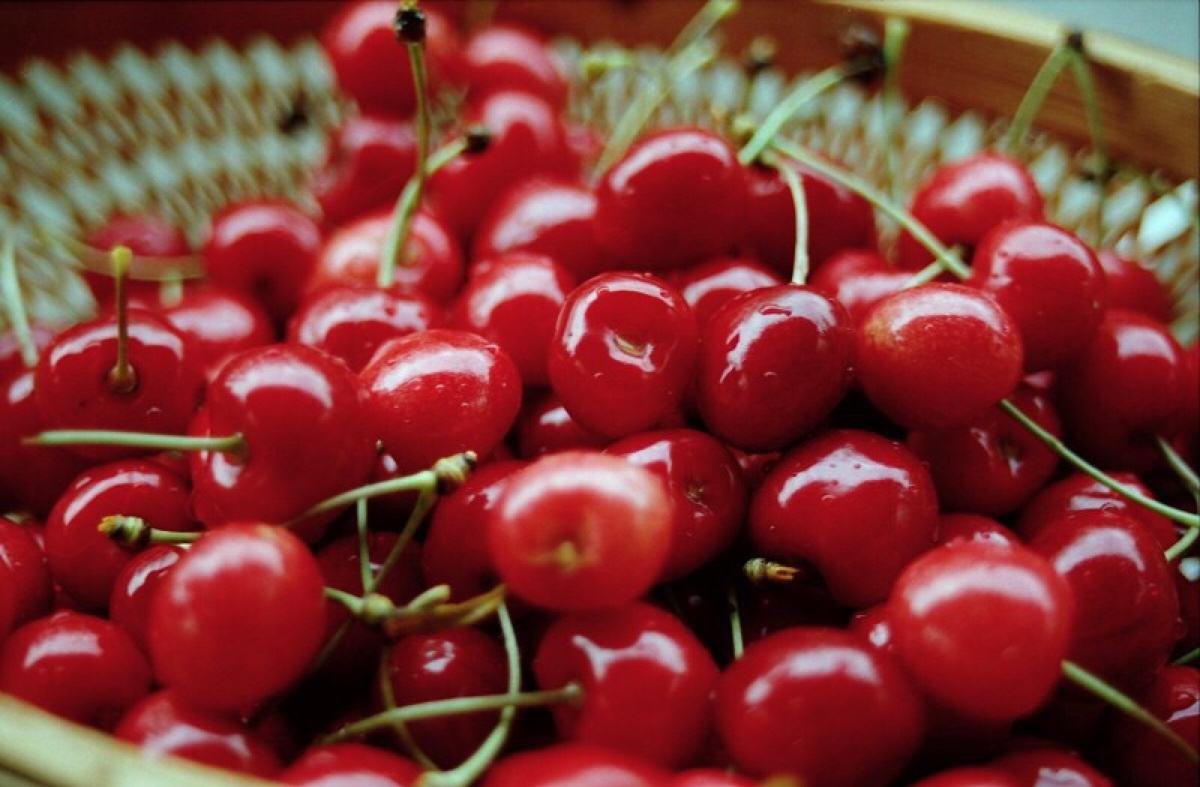 进口利智产樱桃被检测阳性已售空,进口商是否需承担法律责任?