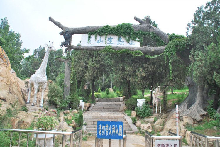 孔子过泰山侧的作品注释