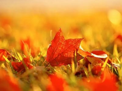 围绕幸福取一个题目怎么取?