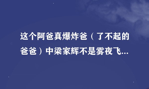 这个阿爸真爆炸爸（了不起的爸爸）中梁家辉不是雾夜飞鹰，但为何却会无影手？片头和片中都使出过无影手