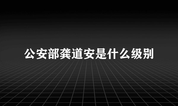公安部龚道安是什么级别
