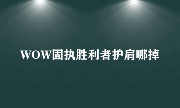 WOW固执胜利者护肩哪掉