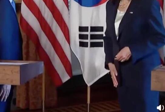 哈里斯和文在寅握手后在裤子上擦手,对此你怎么看?