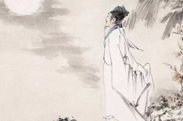 惊起却回头，有恨无人省。拣尽寒枝不肯栖，寂寞沙洲冷 是什么意思？