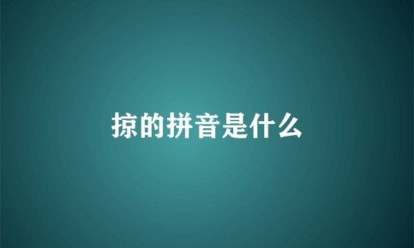 掠的拼音是什么