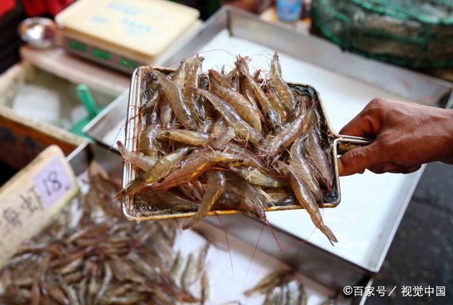 游客在广西一餐馆共点了四道菜花费近千元，该游客能够追回损失吗？