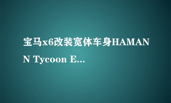 宝马x6改装宽体车身HAMANN Tycoon EVO,有安装过的朋友么？哪有卖件的？
