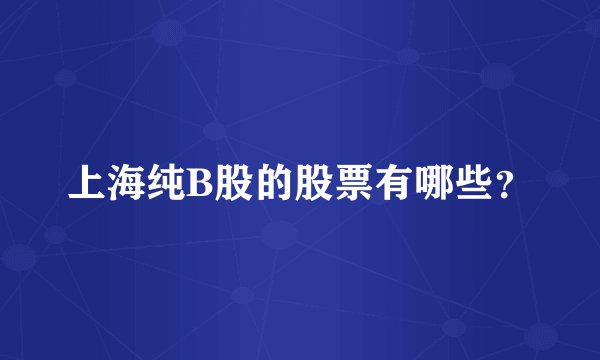 上海纯B股的股票有哪些？