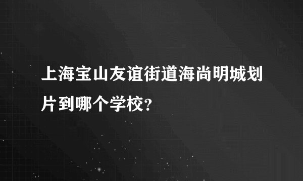 上海宝山友谊街道海尚明城划片到哪个学校？