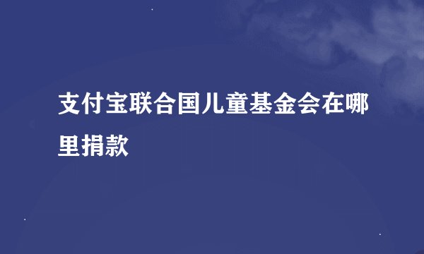 支付宝联合国儿童基金会在哪里捐款