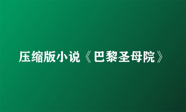 压缩版小说《巴黎圣母院》