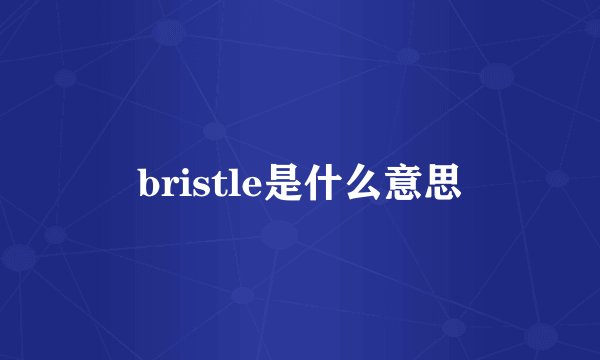 bristle是什么意思