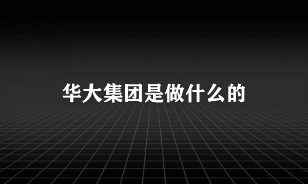 华大集团是做什么的