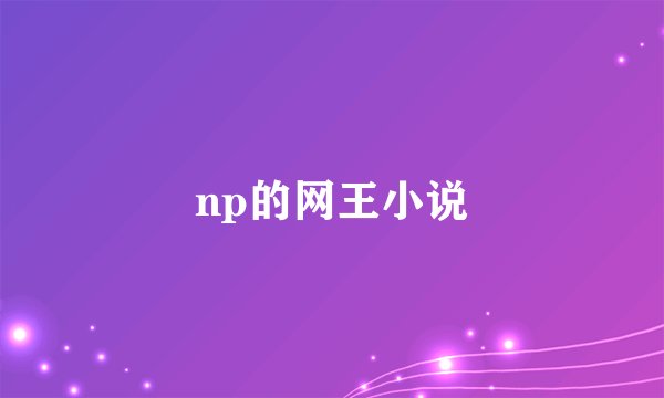 np的网王小说