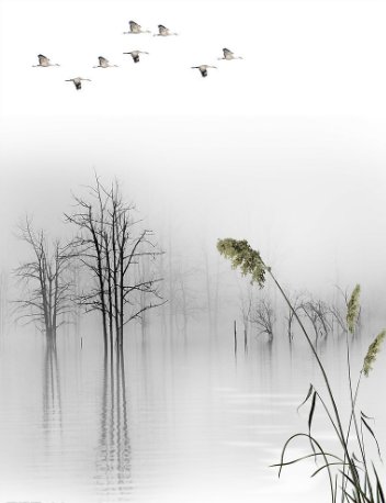 散文应该怎么写? 散文的格式