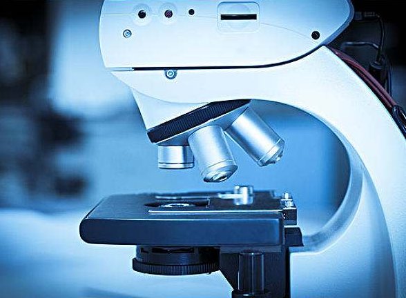 屠呦呦获诺奖五年了，她当初是凭借什么获奖的？