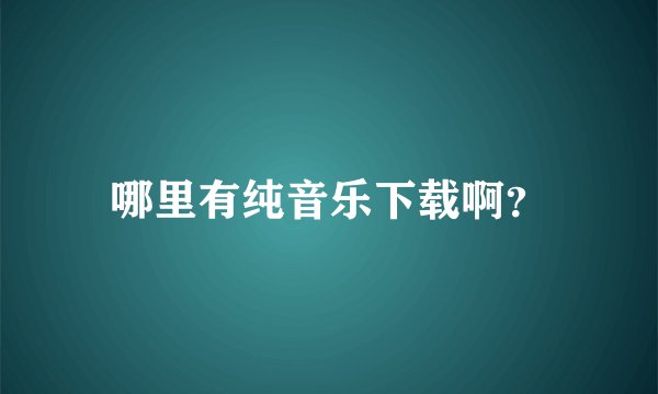 哪里有纯音乐下载啊？