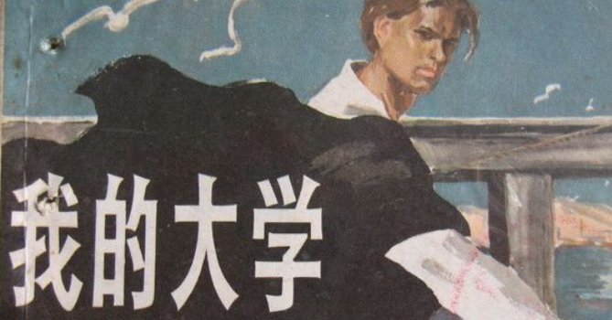 《我的大学》主要内容是什么？