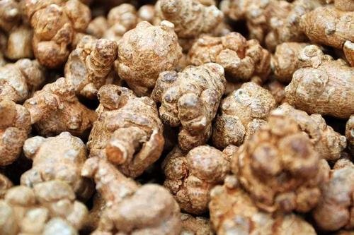 李时珍为何称三七为“金不换”