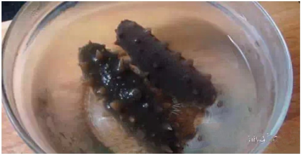 干海参如何处理如何做
