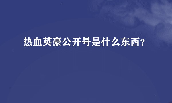 热血英豪公开号是什么东西？