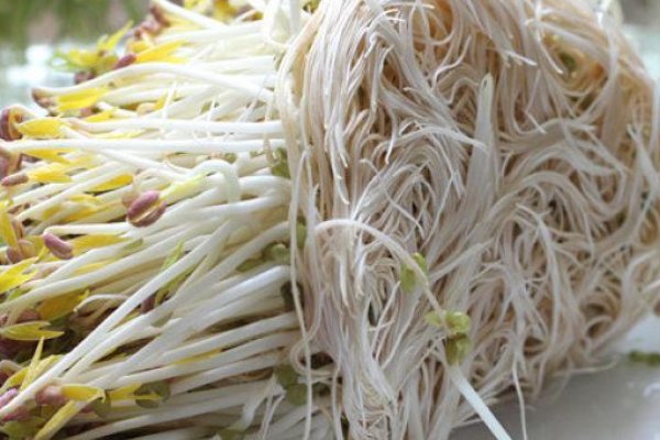 绿豆芽的做法大全家常