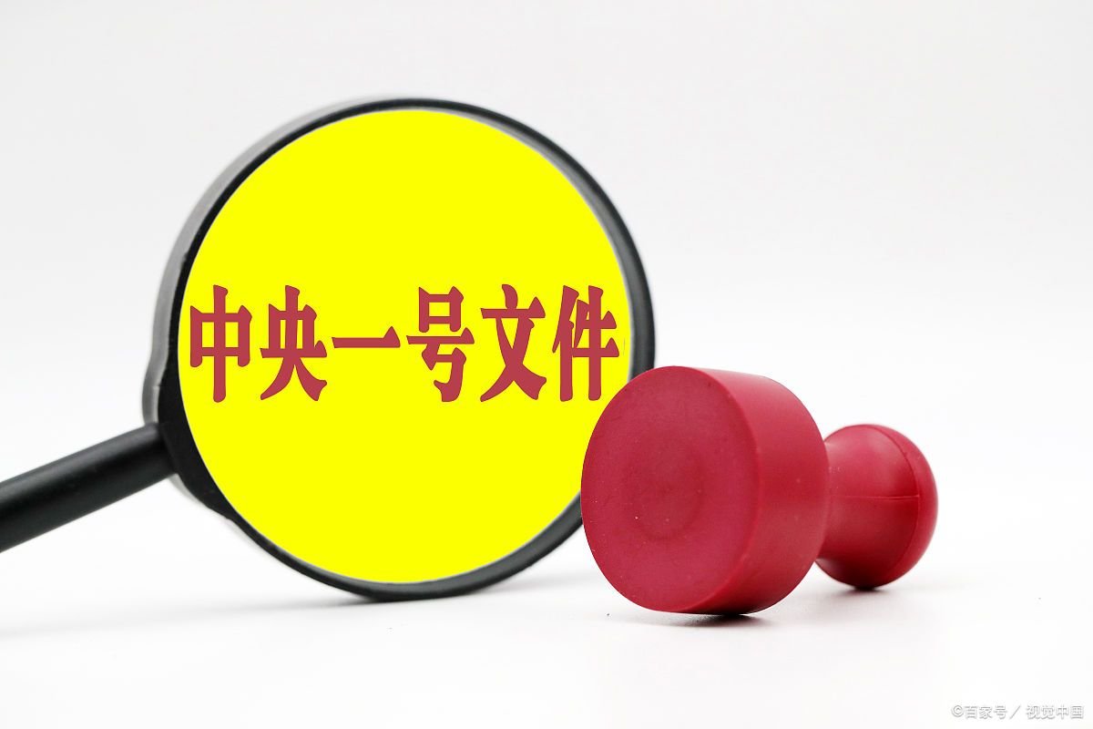 2022年中央一号文件发布，其中有哪些值得我们关注的信息？