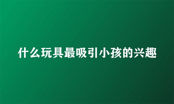 什么玩具最吸引小孩的兴趣