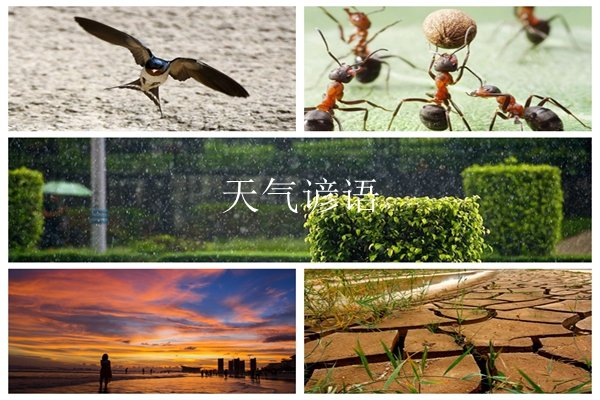 关于天气的谚语