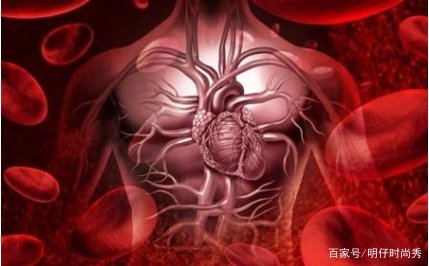 如何改善心血管健康?