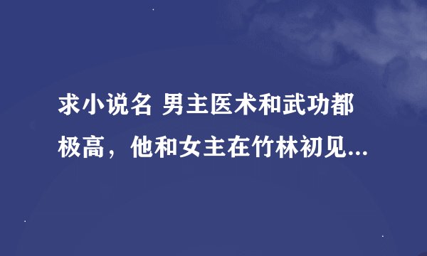求小说名 男主医术和武功都极高，他和女主在竹林初见，后来男主为救女主掉下悬崖，女主头发变成了红色。
