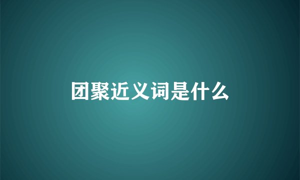 团聚近义词是什么