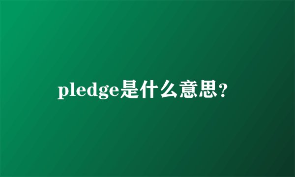 pledge是什么意思？
