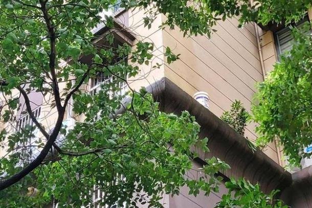 南通一男子在楼房腰线处浇花失足坠亡，如何避免类似状况再次发生？