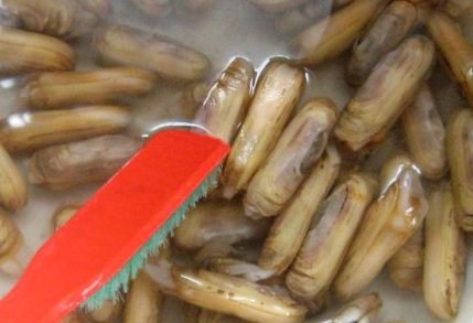 辣炒蚬子 是先煮一下呢 还是直接炒