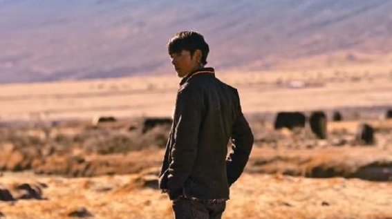 西藏日报为何发文丁真我们在西藏等你？