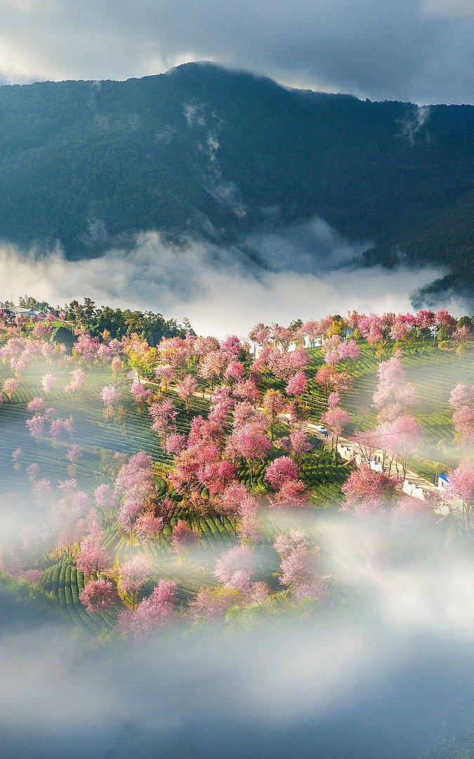 青海西宁发生山洪已致4死27失联，引起山洪的原因是什么？