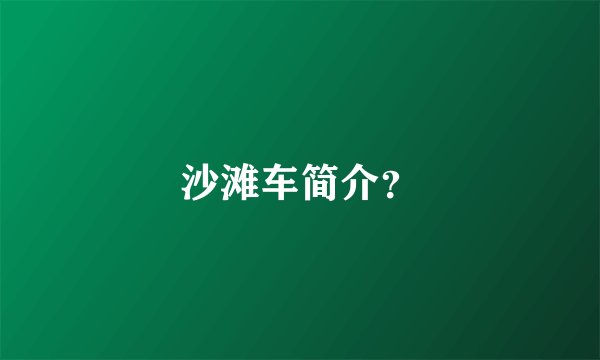 沙滩车简介？