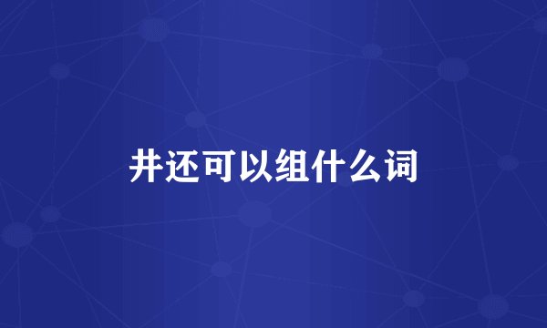 井还可以组什么词