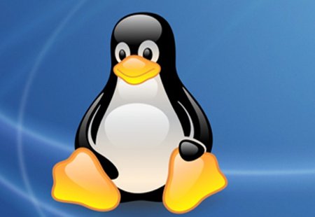 linux系统哪个版本好?