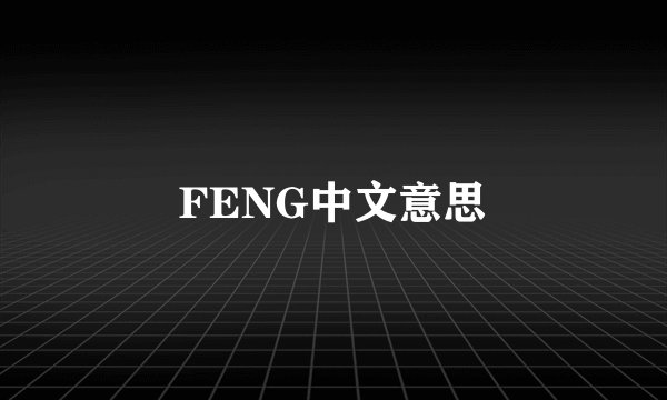 FENG中文意思