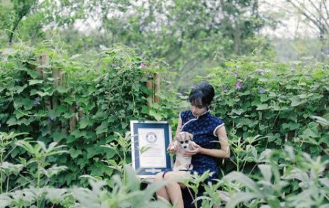 李子柒不担心被同质博主取代，她有自信的底气是什么？