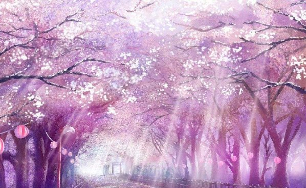 清明樱花祭是什么动漫