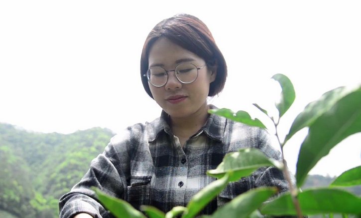 全县高考第一女生辞职回乡当茶农为村里增收,如何评价她的行为?