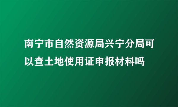南宁市自然资源局兴宁分局可以查土地使用证申报材料吗