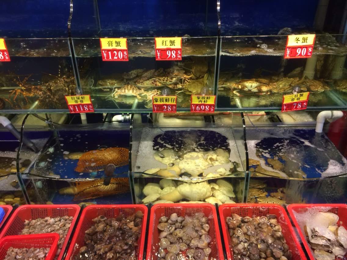 游客在广西一餐馆共点了四道菜花费近千元，该游客能够追回损失吗？