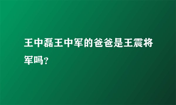 王中磊王中军的爸爸是王震将军吗?