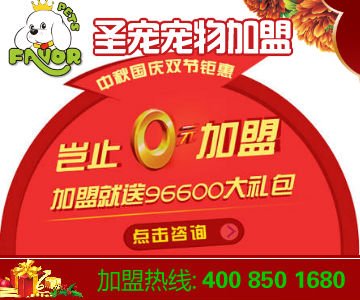 在北京开一家宠物店多少钱，能不能赚钱